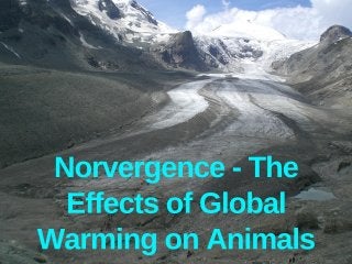 Norvergence - A Threat To Animal Species of Global Warming