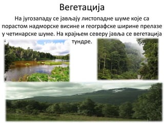 Вегетација
На југозападу се јављају листопадне шуме које са
порастом надморске висине и географске ширине прелазе
у четинарске шуме. На крајњем северу јавља се вегетација
тундре.
 