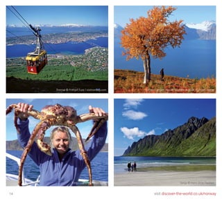 14 visit discover-the-world.co.uk/norway
Kafjord Lyngen Alps © Graham Austick / Lyngen LodgeTromsø © Frithjof Fure / visitnorway.com
King Crab © Nordkyn Hotel Senja © Hans Arne Paulsen
 