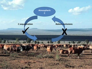 Promoting carbon sequestration and payment for ecosystem service schemes:The case for rangelands