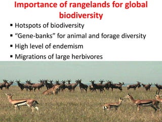 Promoting carbon sequestration and payment for ecosystem service schemes:The case for rangelands