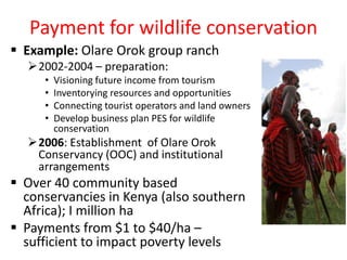 Promoting carbon sequestration and payment for ecosystem service schemes:The case for rangelands