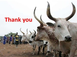 Promoting carbon sequestration and payment for ecosystem service schemes:The case for rangelands