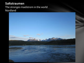 Saltstraumen
The stronges maelstrom in the world
Nordland