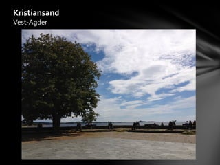 Kristiansand
Vest-Agder