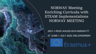NORWAY Meeting
Enriching Curricula with
STEAM Implementations
NORWAY MEETING
 