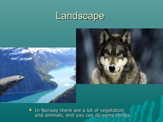 LLaannddssccaappee 
 IInn NNoorrwwaayy tthheerree aarree aa lloott ooff vveeggeettaattiioonn 
aanndd aanniimmaallss,, aanndd yyoouu ccaann ddoo ssoommee tthhiinnggss 
 