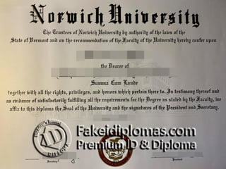 Norwich University degree