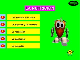 LA NUTRICIÓN Los alimentos y la dieta La digestión y la absorción La respiración La circulación La excreción 