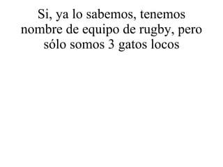 Si, ya lo sabemos, tenemos nombre de equipo de rugby, pero sólo somos 3 gatos locos 