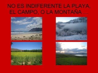 NO ES INDIFERENTE LA PLAYA, EL CAMPO, O LA MONTAÑA … 