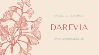 DAREVIA
CATÁLOGO DE FLORES
WWW.FLORESIBAGUE.COM.CO
 
