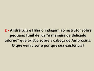 2 - André Luiz e Hilário indagam ao instrutor sobre 
pequeno funil de luz,"à maneira de delicado 
adorno” que existia sobre a cabeça de Ambrosina. 
O que vem a ser e por que sua existência? 
 