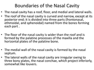 Boundaries of the Nasal Cavity
• The nasal cavity has a roof, floor, and medial and lateral walls.
• The roof of the nasal cavity is curved and narrow, except at its
posterior end; it is divided into three parts (frontonasal,
ethmoidal, and sphenoidal) named from the bones forming
each part .
• The floor of the nasal cavity is wider than the roof and is
formed by the palatine processes of the maxilla and the
horizontal plates of the palatine bone.
• The medial wall of the nasal cavity is formed by the nasal
septum.
• The lateral walls of the nasal cavity are irregular owing to
three bony plates, the nasal conchae, which project inferiorly,
somewhat like louvers.

 