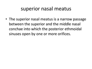 superior nasal meatus
• The superior nasal meatus is a narrow passage
between the superior and the middle nasal
conchae into which the posterior ethmoidal
sinuses open by one or more orifices.

 