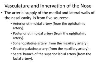 Vasculature and Innervation of the Nose
• The arterial supply of the medial and lateral walls of
the nasal cavity is from five sources:
• Anterior ethmoidal artery (from the ophthalmic
artery).
• Posterior ethmoidal artery (from the ophthalmic
artery).
• Sphenopalatine artery (from the maxillary artery).
• Greater palatine artery (from the maxillary artery).
• Septal branch of the superior labial artery (from the
facial artery).

 
