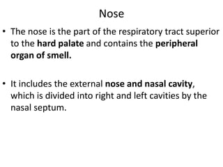 Nose
• The nose is the part of the respiratory tract superior
to the hard palate and contains the peripheral
organ of smell.
• It includes the external nose and nasal cavity,
which is divided into right and left cavities by the
nasal septum.

 