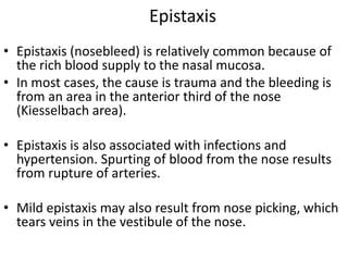 Epistaxis
• Epistaxis (nosebleed) is relatively common because of
the rich blood supply to the nasal mucosa.
• In most cases, the cause is trauma and the bleeding is
from an area in the anterior third of the nose
(Kiesselbach area).

• Epistaxis is also associated with infections and
hypertension. Spurting of blood from the nose results
from rupture of arteries.
• Mild epistaxis may also result from nose picking, which
tears veins in the vestibule of the nose.

 