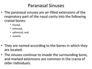 Paranasal Sinuses
• The paranasal sinuses are air-filled extensions of the
respiratory part of the nasal cavity into the following
cranial bones:
•
•
•
•

frontal,
ethmoid,
sphenoid, and
maxilla.

• They are named according to the bones in which they
are located.
• The sinuses continue to invade the surrounding bone,
and marked extensions are common in the crania of
older individuals.

 