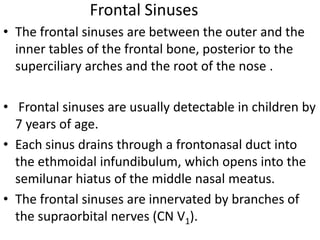 Frontal Sinuses
• The frontal sinuses are between the outer and the
inner tables of the frontal bone, posterior to the
superciliary arches and the root of the nose .
• Frontal sinuses are usually detectable in children by
7 years of age.
• Each sinus drains through a frontonasal duct into
the ethmoidal infundibulum, which opens into the
semilunar hiatus of the middle nasal meatus.
• The frontal sinuses are innervated by branches of
the supraorbital nerves (CN V1).

 