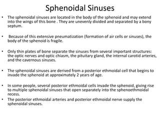 Sphenoidal Sinuses
• The sphenoidal sinuses are located in the body of the sphenoid and may extend
into the wings of this bone . They are unevenly divided and separated by a bony
septum.
•

Because of this extensive pneumatization (formation of air cells or sinuses), the
body of the sphenoid is fragile.

• Only thin plates of bone separate the sinuses from several important structures:
the optic nerves and optic chiasm, the pituitary gland, the internal carotid arteries,
and the cavernous sinuses.
• The sphenoidal sinuses are derived from a posterior ethmoidal cell that begins to
invade the sphenoid at approximately 2 years of age.
• In some people, several posterior ethmoidal cells invade the sphenoid, giving rise
to multiple sphenoidal sinuses that open separately into the sphenoethmoidal
recess.
• The posterior ethmoidal arteries and posterior ethmoidal nerve supply the
sphenoidal sinuses.

 