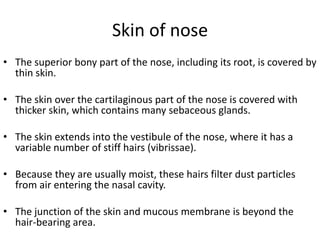 Skin of nose
• The superior bony part of the nose, including its root, is covered by
thin skin.
• The skin over the cartilaginous part of the nose is covered with
thicker skin, which contains many sebaceous glands.

• The skin extends into the vestibule of the nose, where it has a
variable number of stiff hairs (vibrissae).
• Because they are usually moist, these hairs filter dust particles
from air entering the nasal cavity.
• The junction of the skin and mucous membrane is beyond the
hair-bearing area.

 