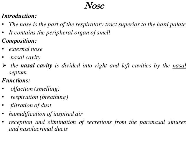 What is the function of the nasal cavity?