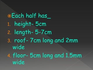 Each half has_
1. height- 5cm
2. length- 5-7cm
3. roof- 7cm long and 2mm
wide
4. floor- 5cm long and 1.5mm
wide
 