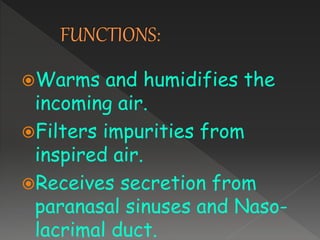 Warms and humidifies the
incoming air.
Filters impurities from
inspired air.
Receives secretion from
paranasal sinuses and Naso-
lacrimal duct.
 