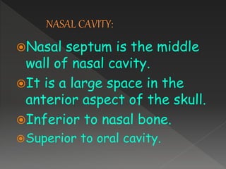Nasal septum is the middle
wall of nasal cavity.
It is a large space in the
anterior aspect of the skull.
Inferior to nasal bone.
Superior to oral cavity.
 