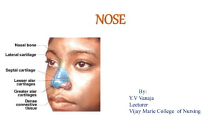 NOSE
By:
Y.V Vanaja
Lecturer
Vijay Marie College of Nursing
 