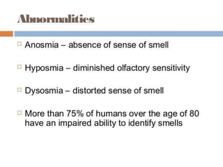 Nose anatomy & physiology sensory system