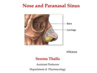 Sreenu Thalla
Assistant Professor
Department of Pharmacology
Nose and Paranasal Sinus
 