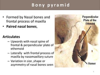 Nose anatomy | PPTX