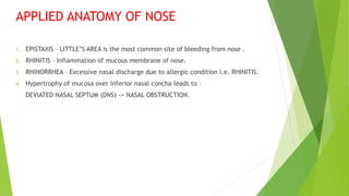 NOSE AND PARANASAL sinuses PPT & diagrams | PPT