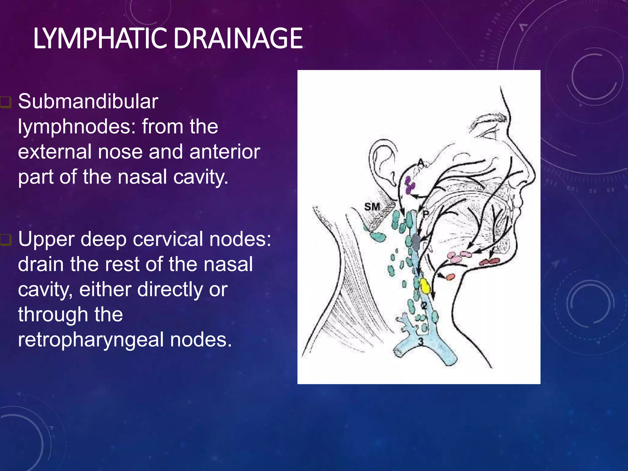 Nose and para nasal sinus meher | PPTX