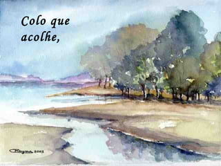 Colo que
acolhe,
 