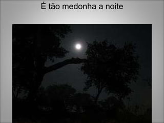 É tão medonha a noite 