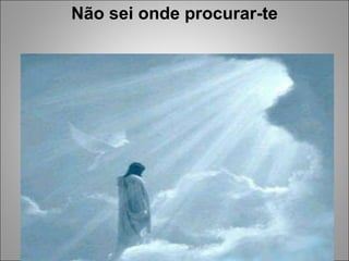 Não sei onde procurar-te 