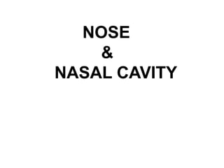 NOSE
&
NASAL CAVITY
 