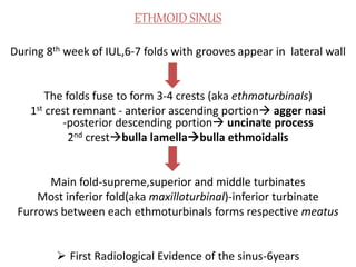 Anatomy of Nose and Paranasal Sinuses | PPTX