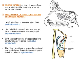 Anatomy of Nose and Paranasal Sinuses | PPTX
