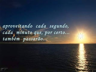 aproveitando  cada  segundo, 
cada  minuto que, por certo...
também  passarão...
 