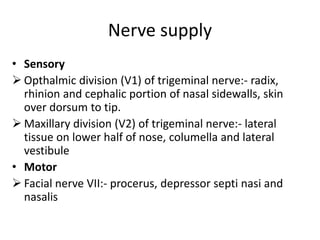 Nerve supply
• Sensory
 Opthalmic division (V1) of trigeminal nerve:- radix,
rhinion and cephalic portion of nasal sidewalls, skin
over dorsum to tip.
 Maxillary division (V2) of trigeminal nerve:- lateral
tissue on lower half of nose, columella and lateral
vestibule
• Motor
 Facial nerve VII:- procerus, depressor septi nasi and
nasalis
 