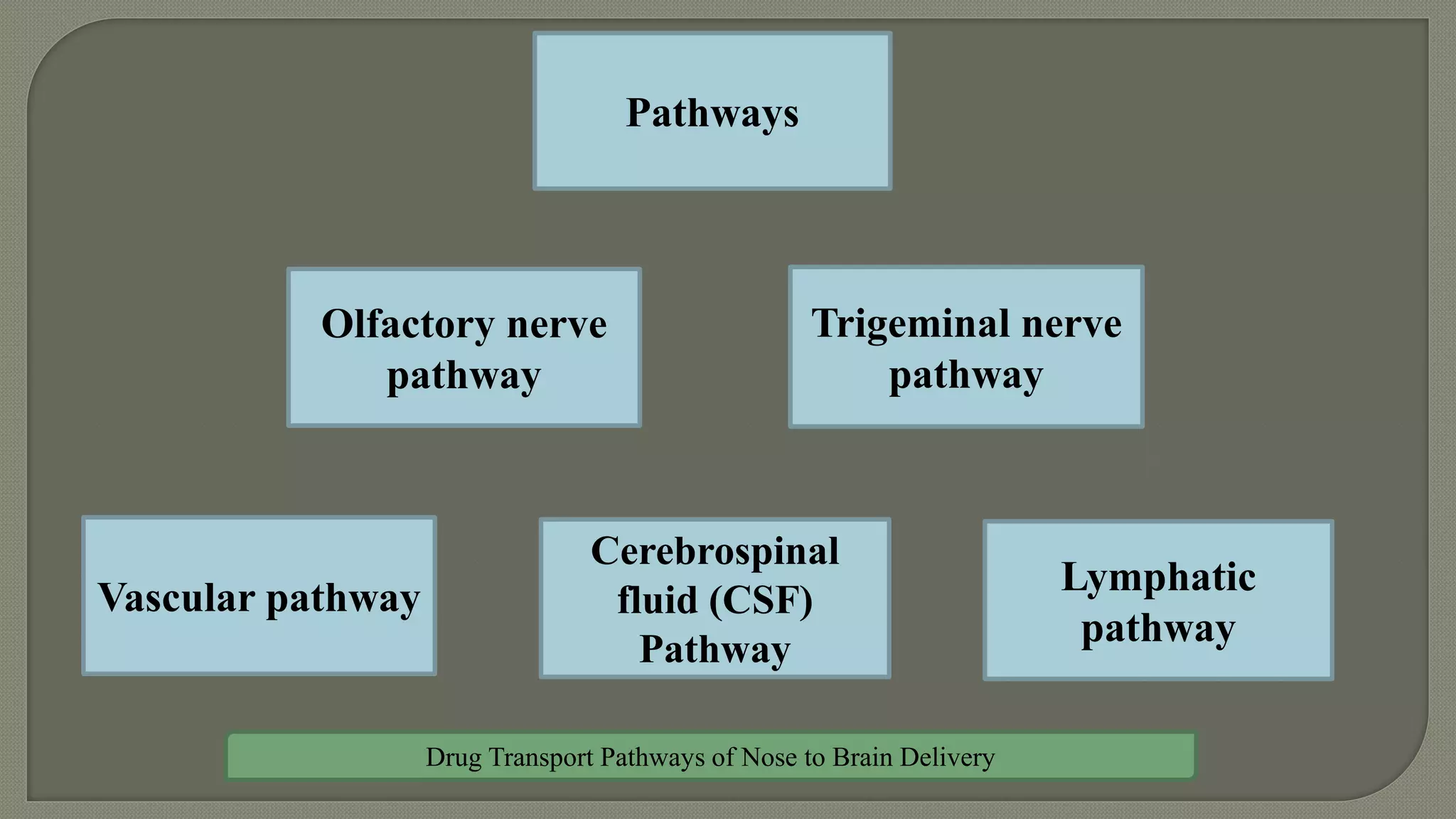 Nose to brain drug delivery system | PPTX