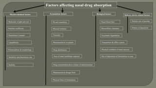 Nose to brain drug delivery system | PPTX