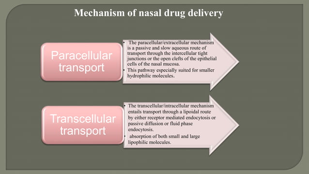 Nose to brain drug delivery system | PPTX