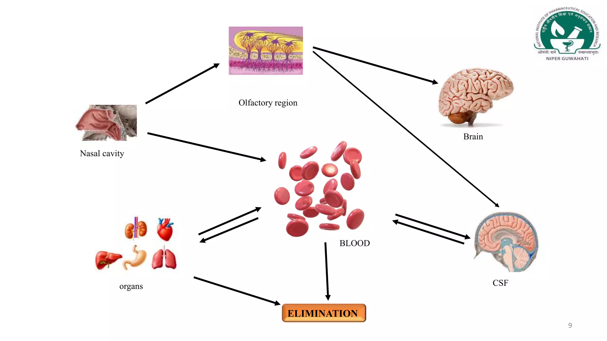 Nose to Brain Targeted Drug Delivery.pptx