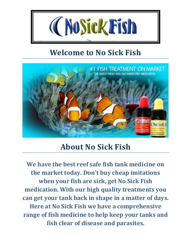 No Sick Fish Treating Fish with Ich