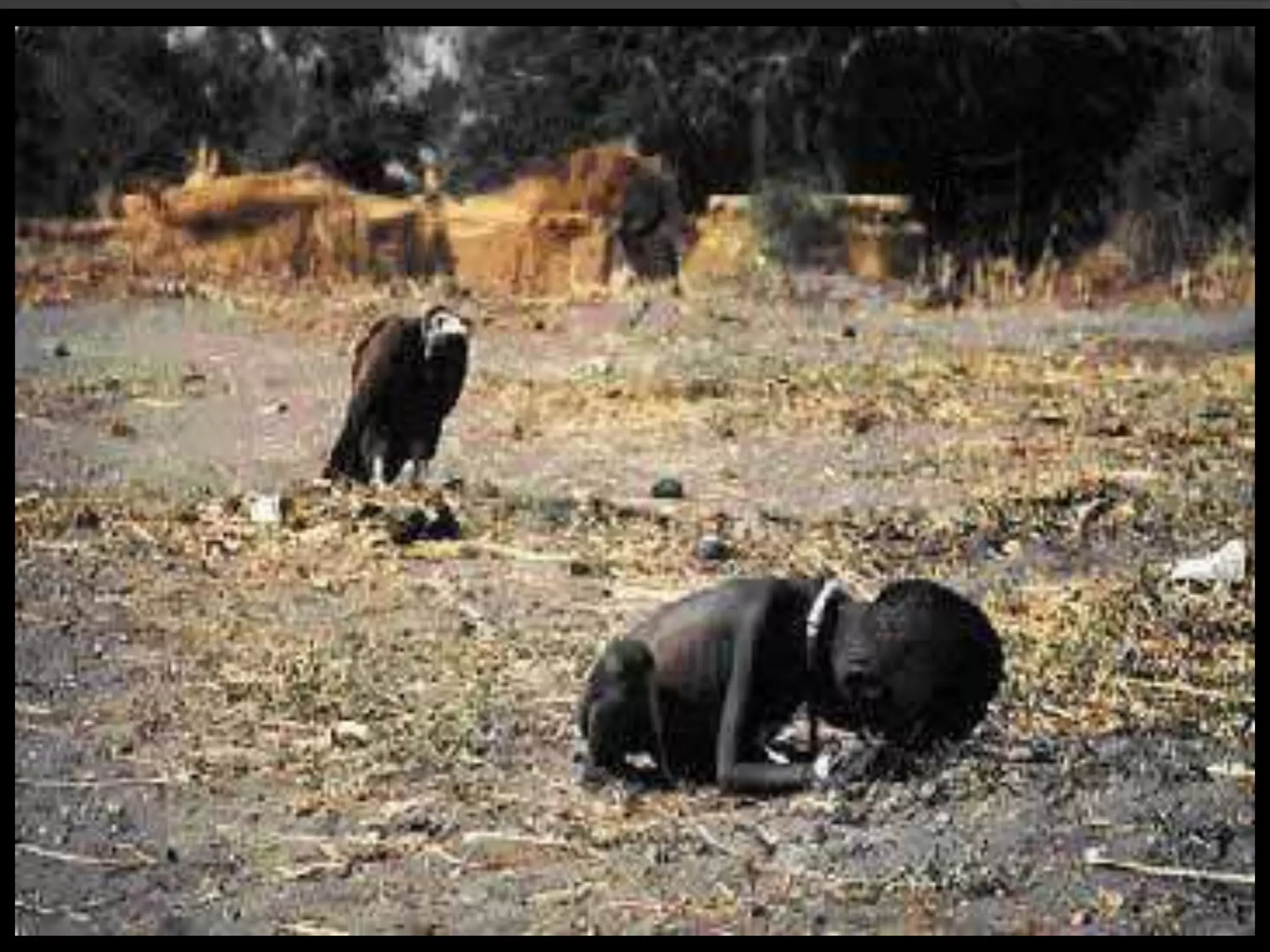 Nos importando com o próximo